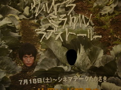 Photo_9